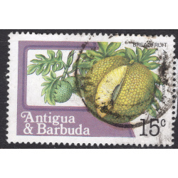ANTIGUA SCOTT 713