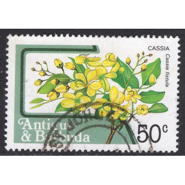 ANTIGUA SCOTT 719
