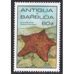 ANTIGUA SCOTT 873