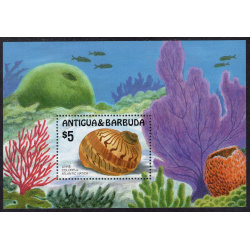 ANTIGUA SCOTT 947