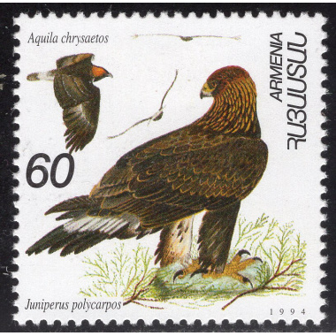 ARMENIA SCOTT 500