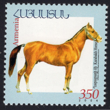 ARMENIA SCOTT 694