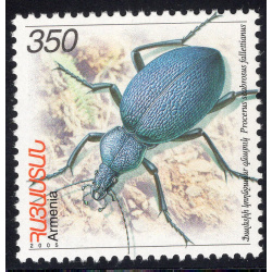 ARMENIA SCOTT 735