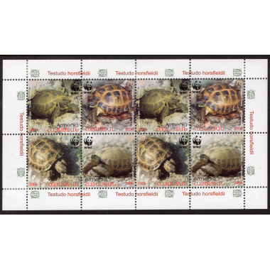 ARMENIA LOT15