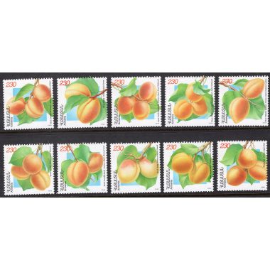 ARMENIA LOT18