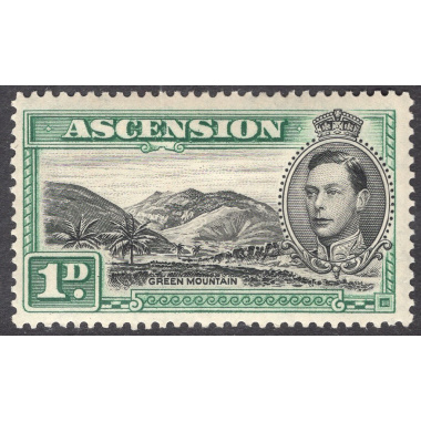 ASCENSION SCOTT 41