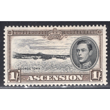 ASCENSION SCOTT 46