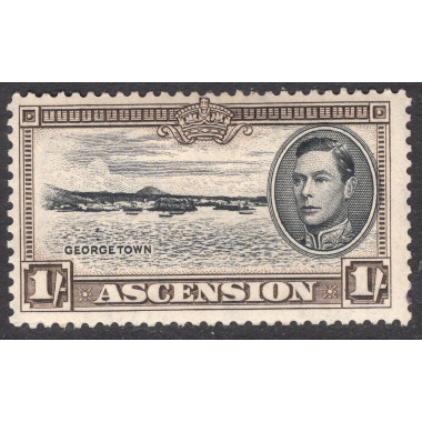 ASCENSION SCOTT 46