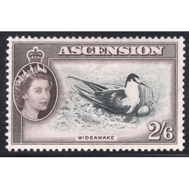 ASCENSION SCOTT 72