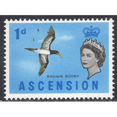ASCENSION SCOTT 75