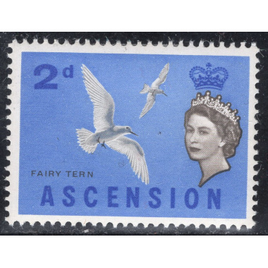 ASCENSION SCOTT 77