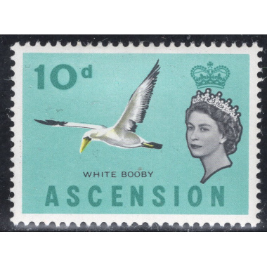 ASCENSION SCOTT 82