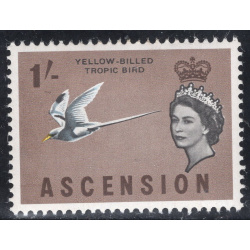 ASCENSION SCOTT 83