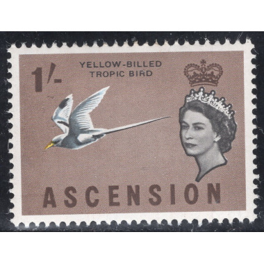 ASCENSION SCOTT 83