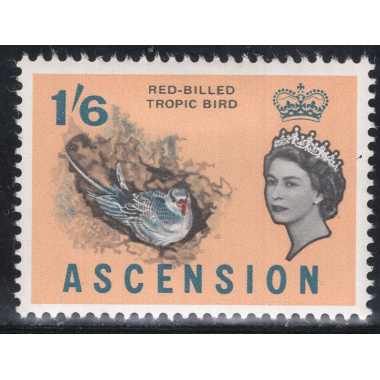 ASCENSION SCOTT 84
