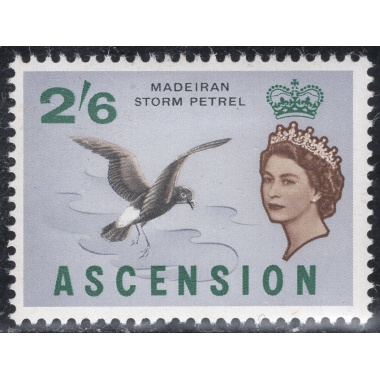 ASCENSION SCOTT 85