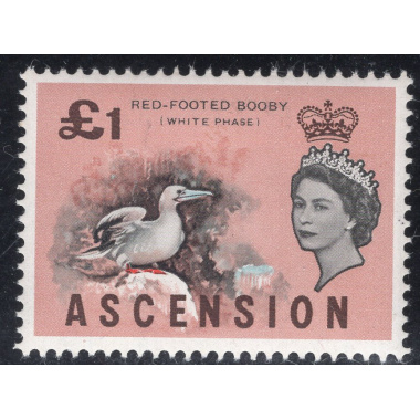 ASCENSION SCOTT 88