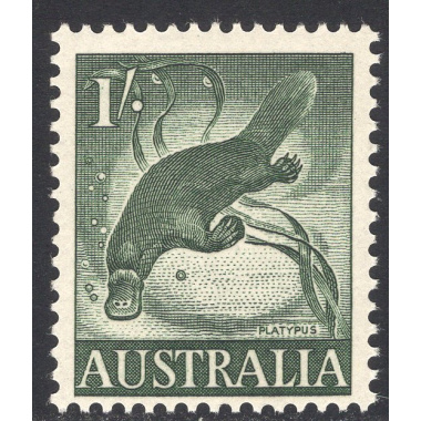 AUSTRALIA SCOTT 324