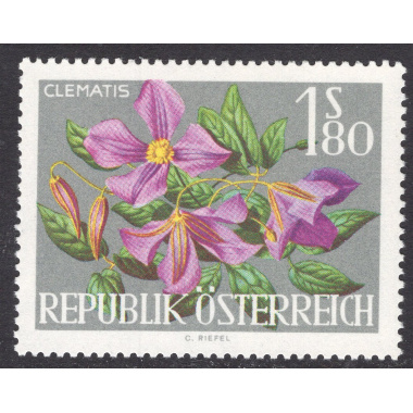 AUSTRIA SCOTT 721