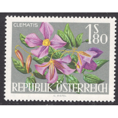 AUSTRIA SCOTT 721