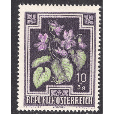 AUSTRIA SCOTT B235