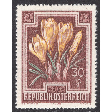 AUSTRIA SCOTT B237
