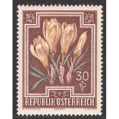AUSTRIA SCOTT B237