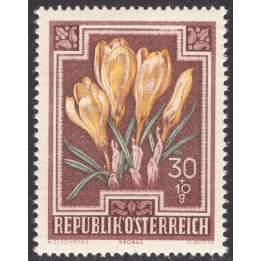 AUSTRIA SCOTT B237