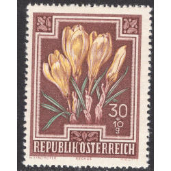 AUSTRIA SCOTT B237