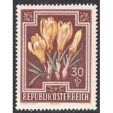 AUSTRIA SCOTT B237