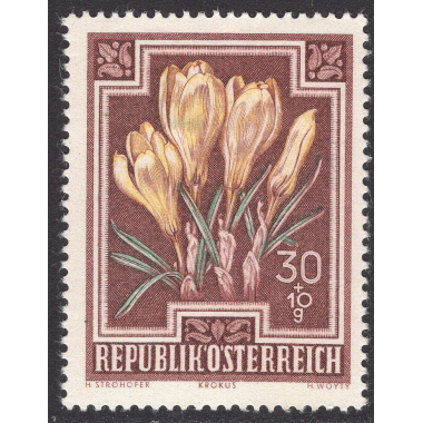 AUSTRIA SCOTT B237