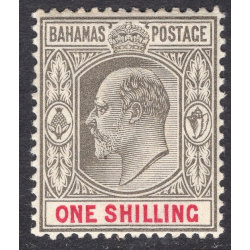 BAHAMAS SCOTT 41