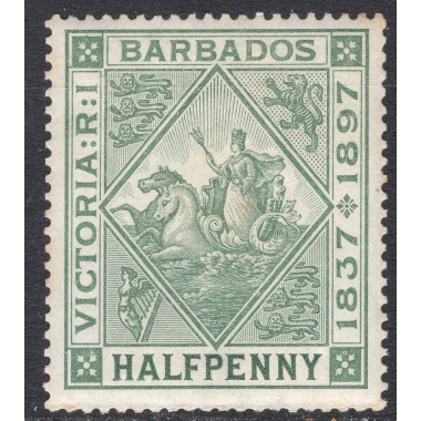 BARBADOS SCOTT 82