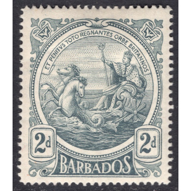 BARBADOS SCOTT 130