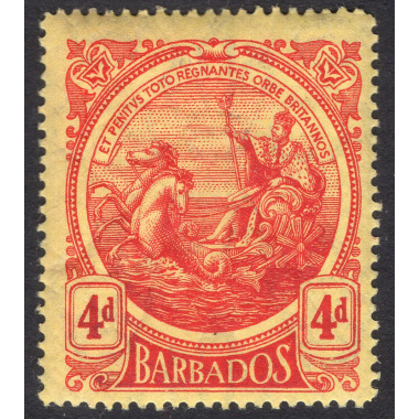 BARBADOS SCOTT 133
