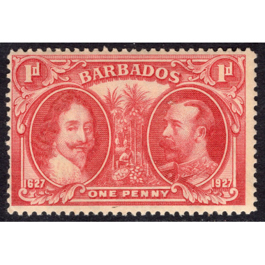 BARBADOS SCOTT 180