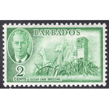 BARBADOS SCOTT 217