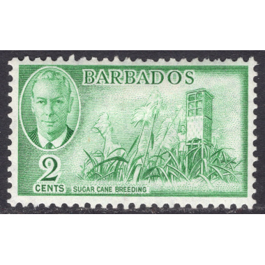 BARBADOS SCOTT 217