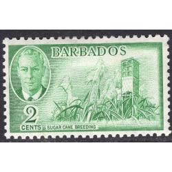 BARBADOS SCOTT 217