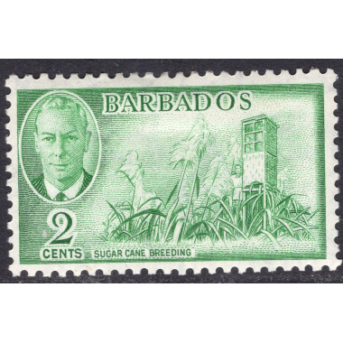 BARBADOS SCOTT 217