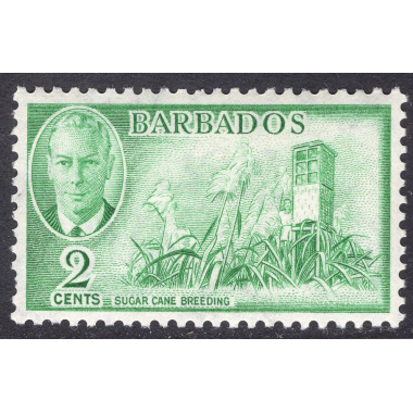 BARBADOS SCOTT 217