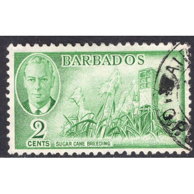 BARBADOS SCOTT 217
