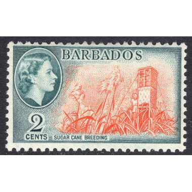 BARBADOS SCOTT 236