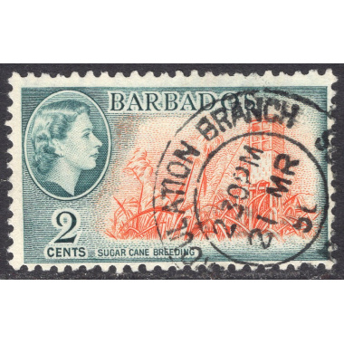 BARBADOS SCOTT 236