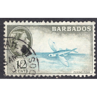 BARBADOS SCOTT 242