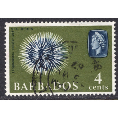 BARBADOS SCOTT 270