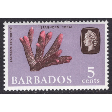 BARBADOS SCOTT 271