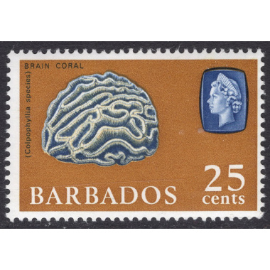 BARBADOS SCOTT 276