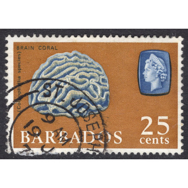 BARBADOS SCOTT 276