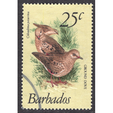 BARBADOS SCOTT 502